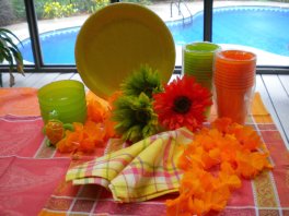 Hawaiian Party Ideas - PIctures, Plans and Tips for Hosting the Best