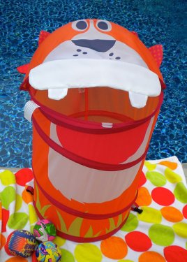 container for pool toys